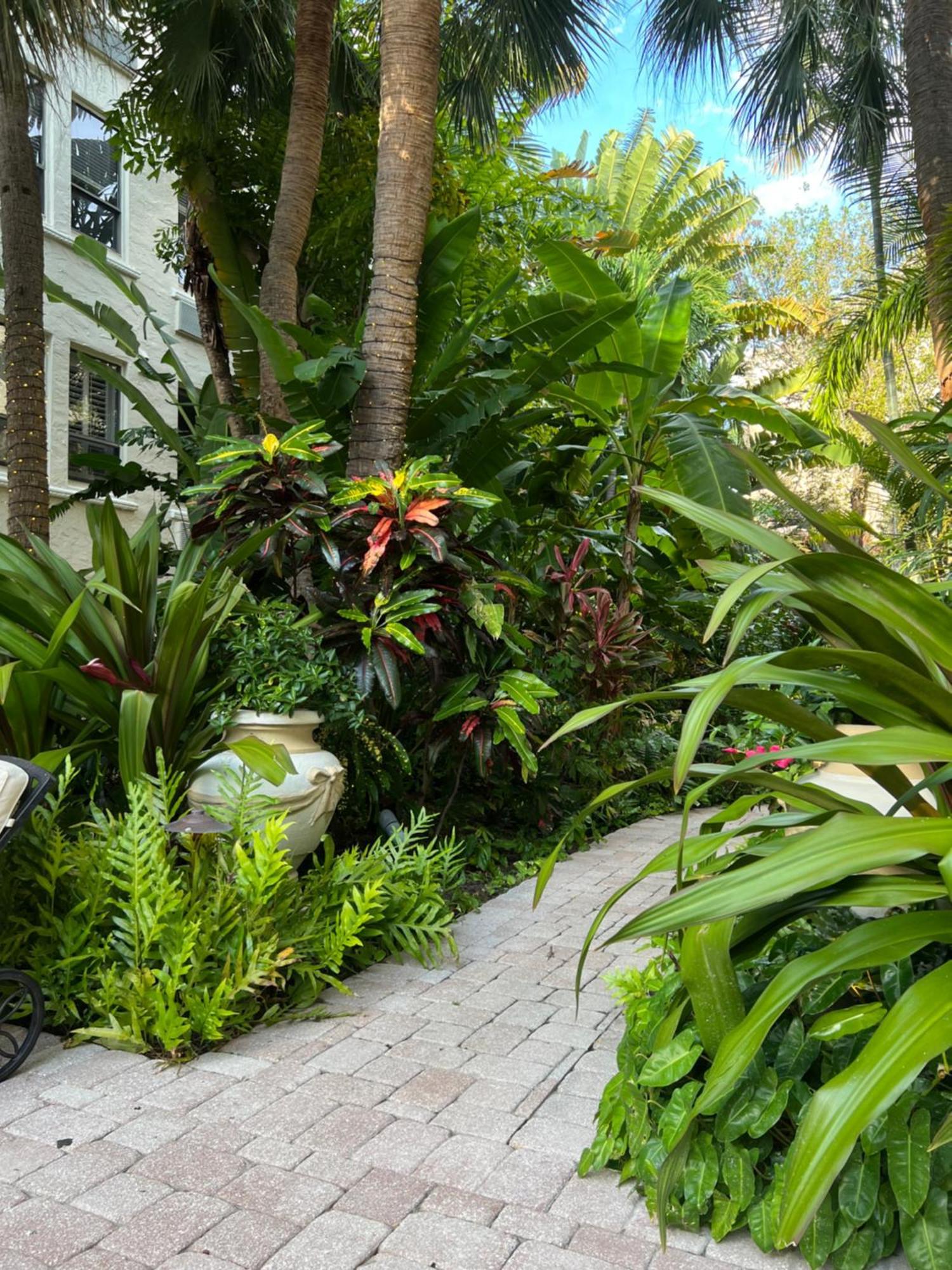 Orchid Suites - Historic Palm Beach Hotel Condominium Екстериор снимка
