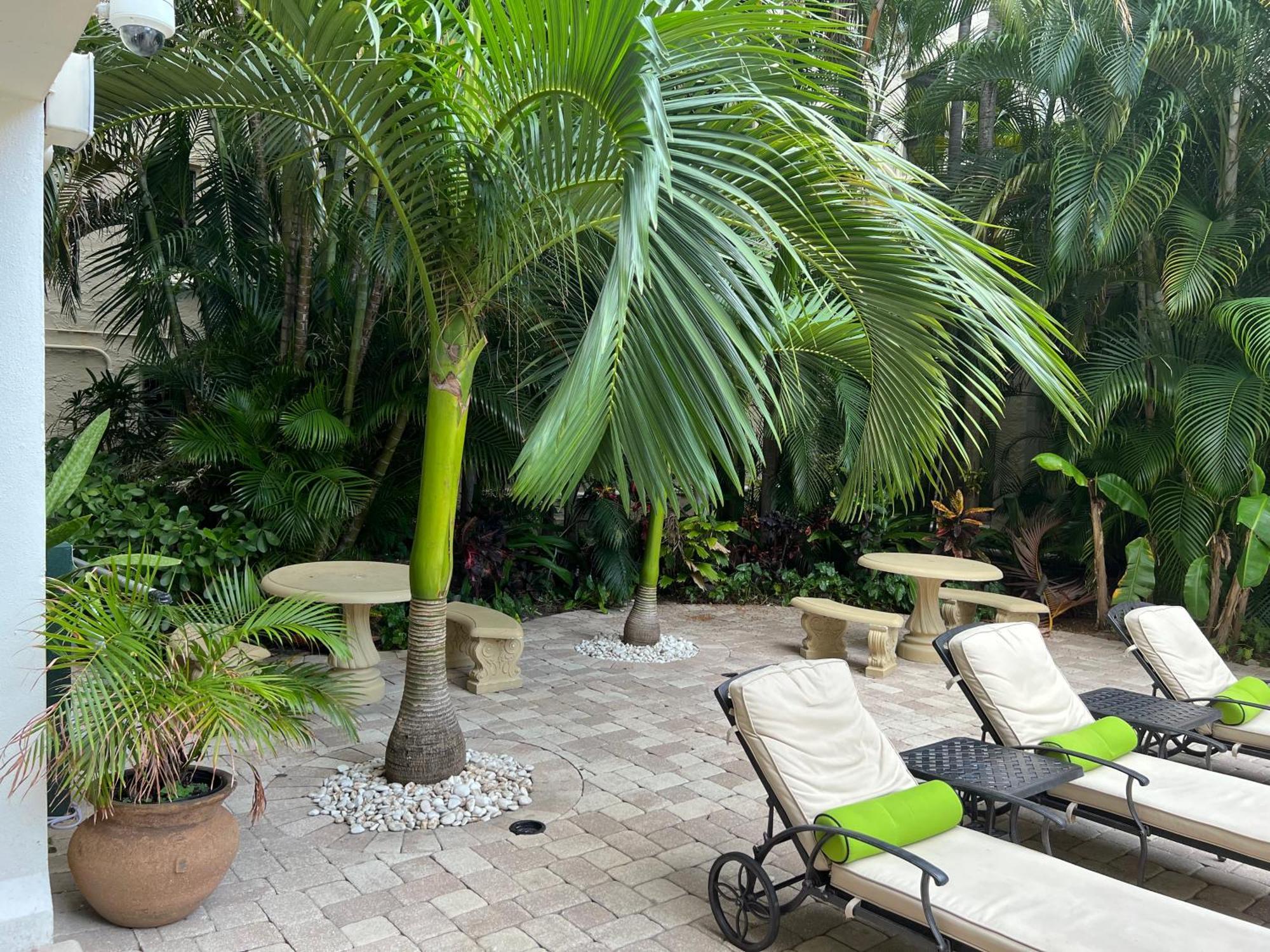 Orchid Suites - Historic Palm Beach Hotel Condominium Екстериор снимка
