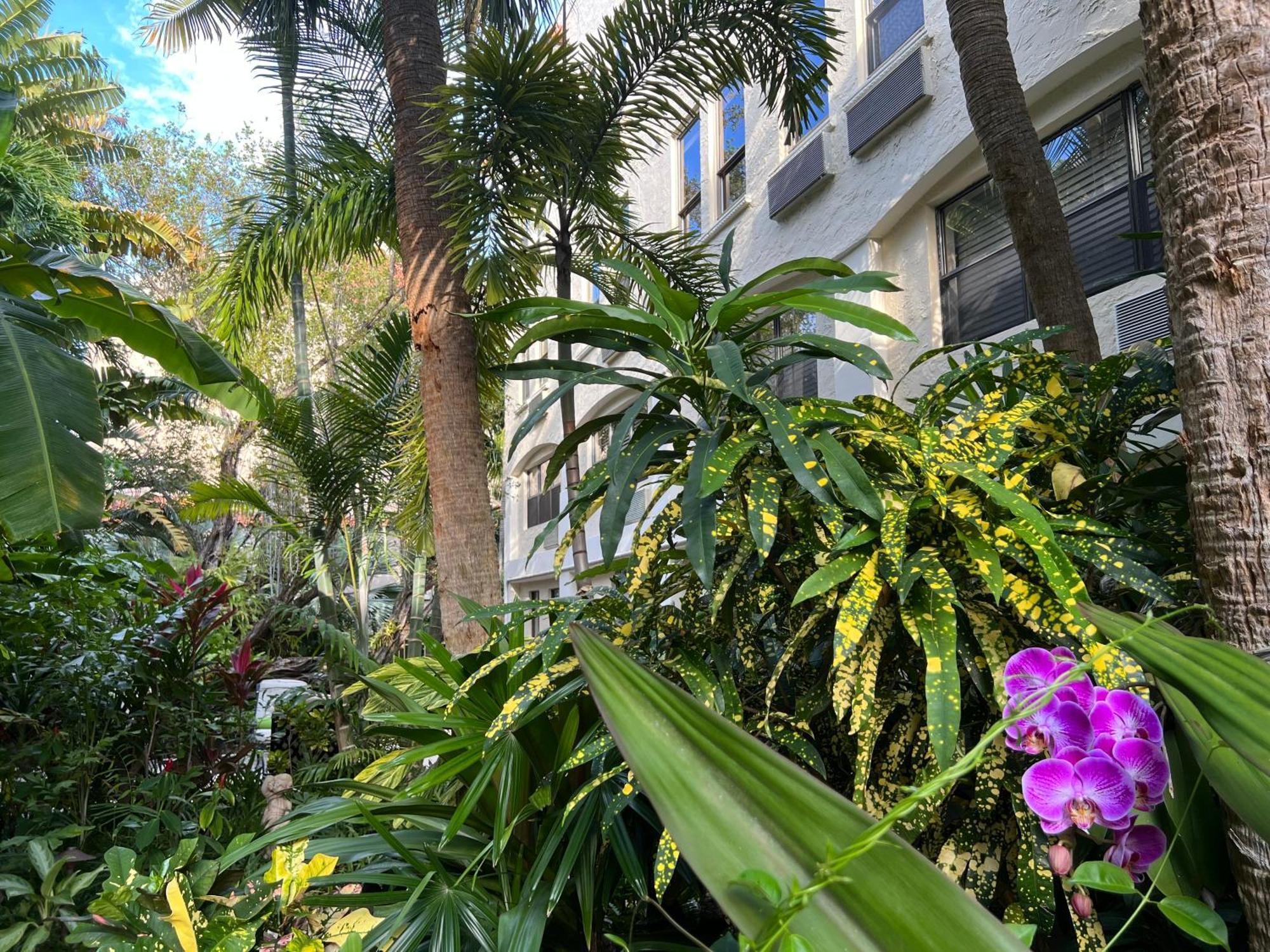 Orchid Suites - Historic Palm Beach Hotel Condominium Екстериор снимка